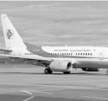 عبر الخطوط الجوية الجزائرية: وصول 302 رعية جزائرية  تم إجلاؤها من فرنسا 