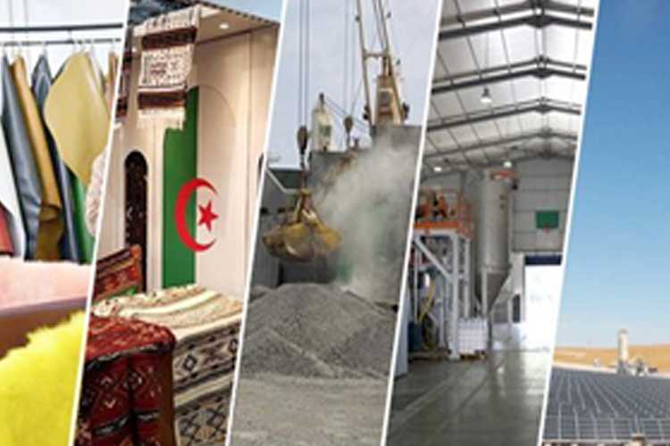 أرباب العمل: الإعلان عن تأسيس مجلس تجديد الاقتصاد الجزائري 